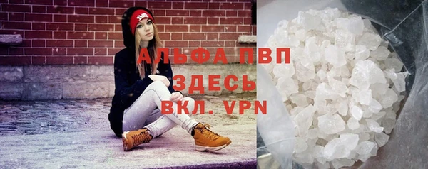 СК Надым