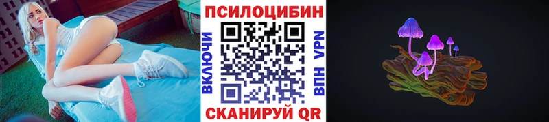 купить   Чита  Псилоцибиновые грибы мицелий 