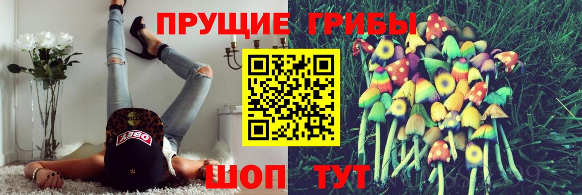 где купить наркоту  Вход с VPN  Чита  Псилоцибиновые грибы Cubensis  Псилоцибиновые грибы Psilocybine cubensis 