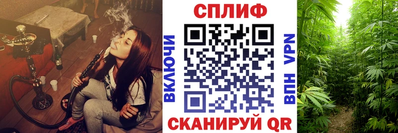 ссылка на мегу вход  Чита  Марихуана сатива 