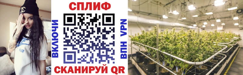 Конопля Ganja Чита